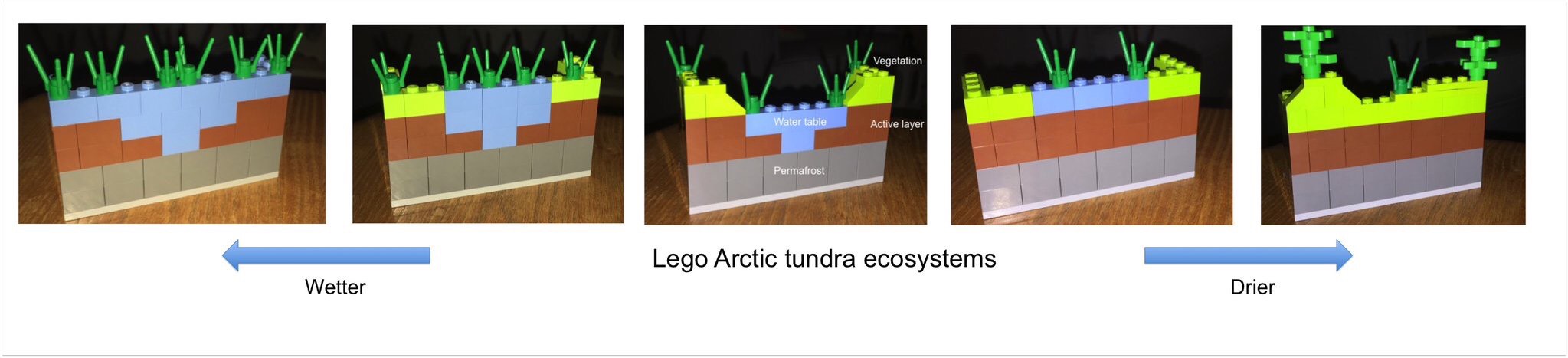 lego_tundra