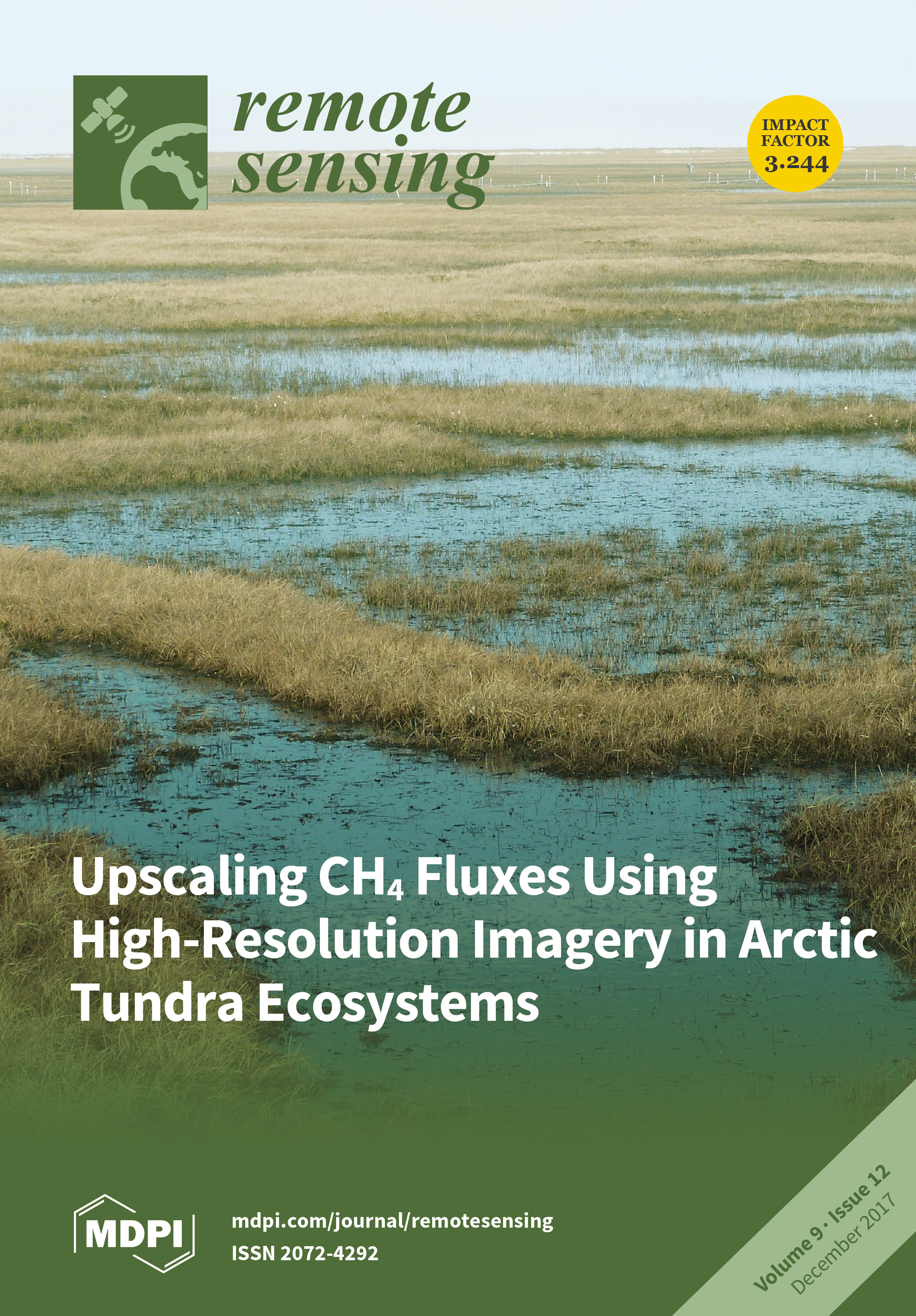 big_cover-remotesensing-v9-i12