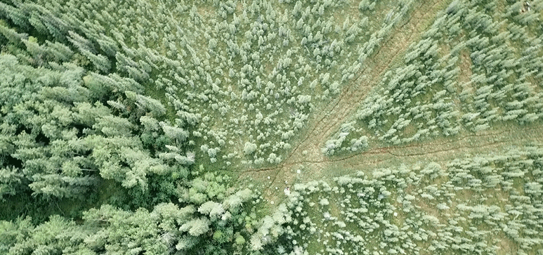 drone_8.gif